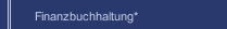 Finanzbuchhaltung*