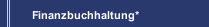 Finanzbuchhaltung*