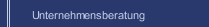Unternehmensberatung